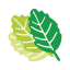 Thulasi-favicon